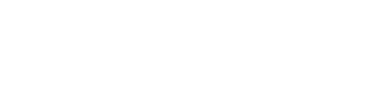 Palmica Shop